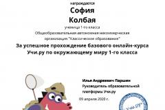 Diplom_Sofiya_Kolbaya_13708012-1
